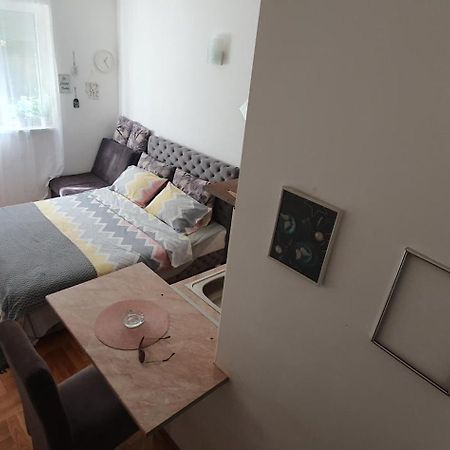 Studio Dunja Vrnjačka Banja Extérieur photo