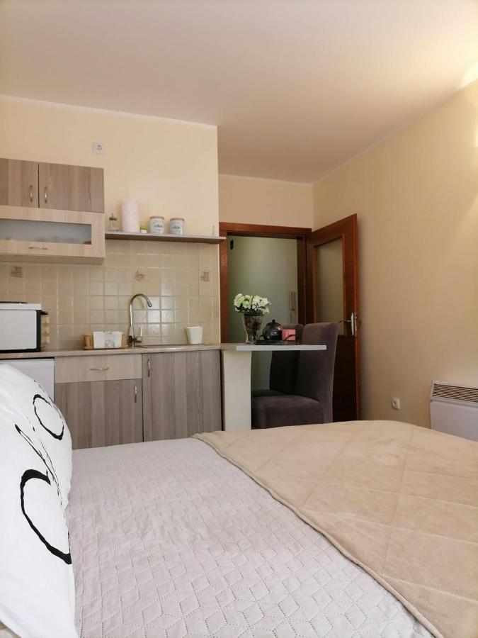 Studio Dunja Vrnjačka Banja Extérieur photo