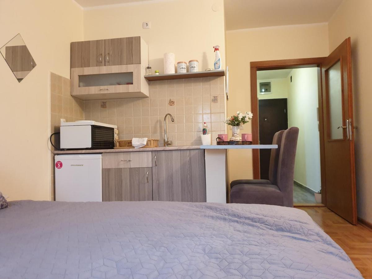 Studio Dunja Vrnjačka Banja Extérieur photo