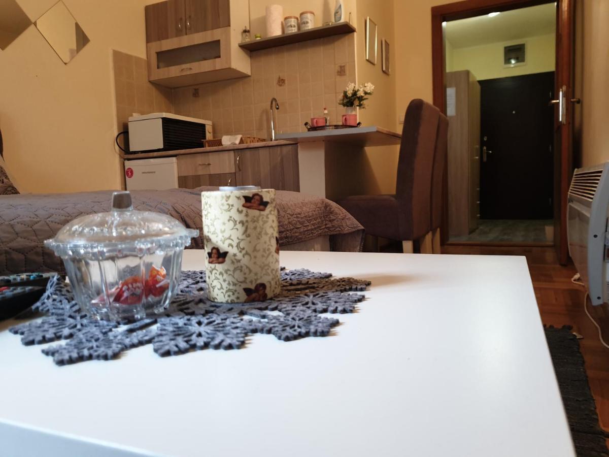 Studio Dunja Vrnjačka Banja Extérieur photo