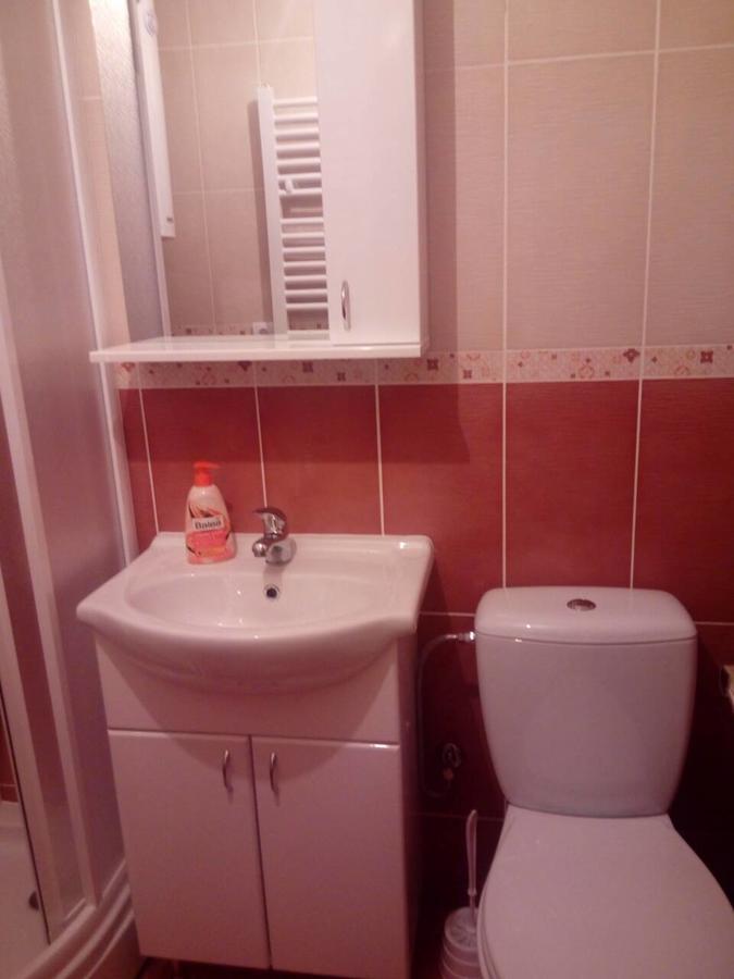 Studio Dunja Vrnjačka Banja Extérieur photo