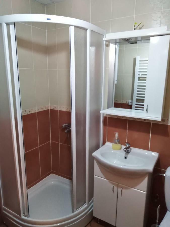 Studio Dunja Vrnjačka Banja Extérieur photo