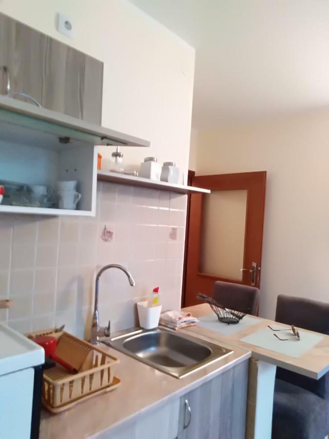 Studio Dunja Vrnjačka Banja Extérieur photo