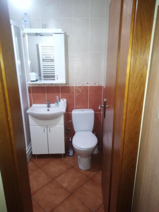 Studio Dunja Vrnjačka Banja Extérieur photo